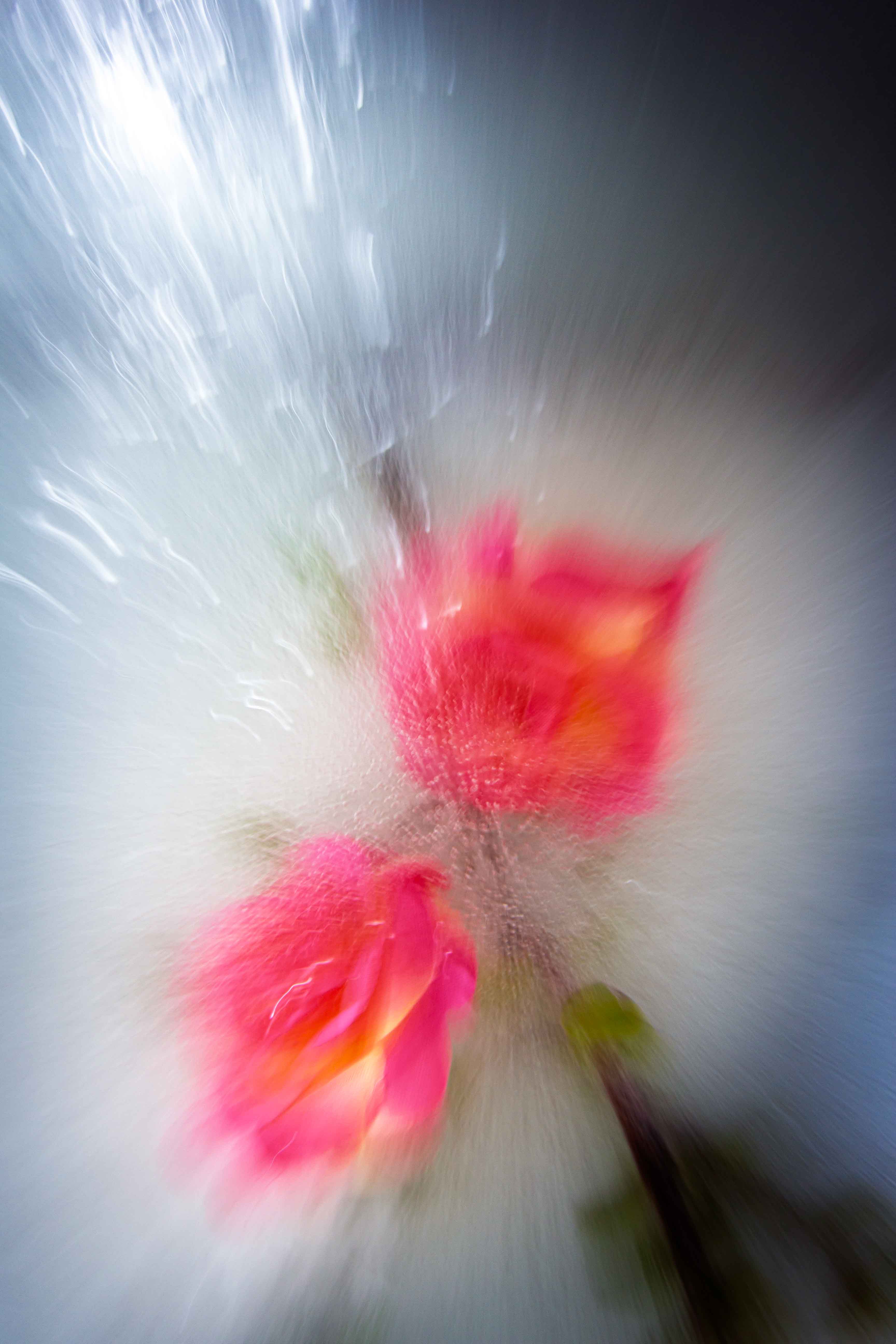 inscription fe886b78af37ad5130ba02295e0b166c6c9372bcb80afe20d41571563e1b9ce8i0